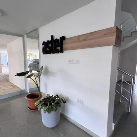 Crocus House - North Cyprus